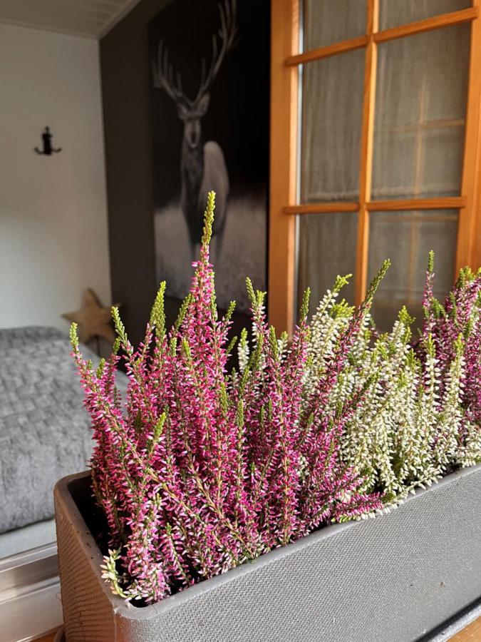 Chalet Apartment Serenity Lodge Charmey Bagian luar foto